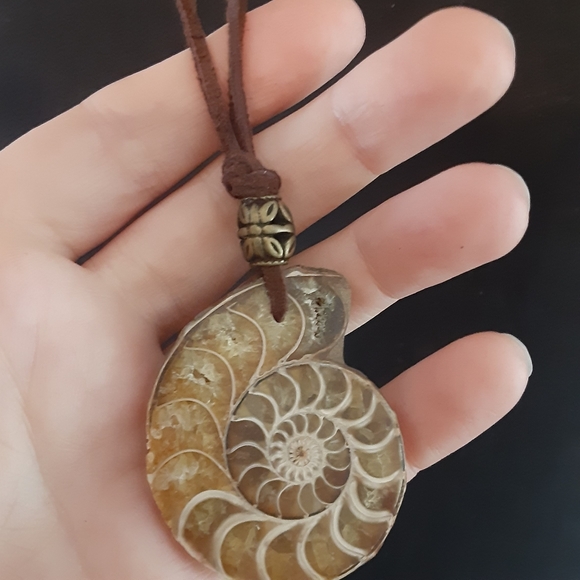 BEAUTIFUL- Real Ammonite Fossil/ Genuine Brown Leather Cord Necklace - Picture 6 of 8